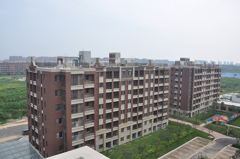 保利海上五月花玫瑰园项目